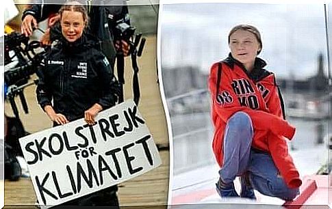 Greta Thunberg began school strike for the climate.