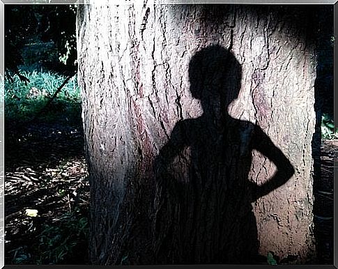 Shadow of a boy on a tree