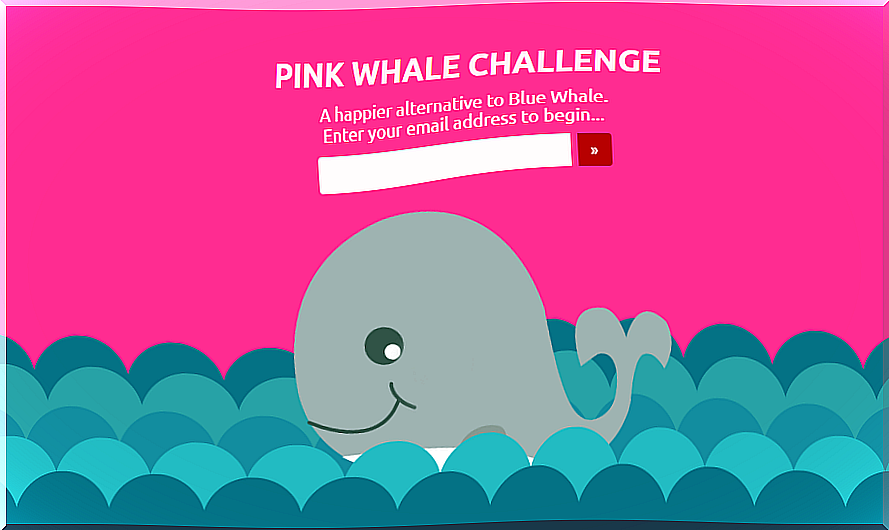 pink whale vs blue whale