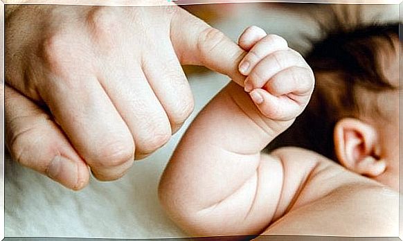 Baby holding adult hand