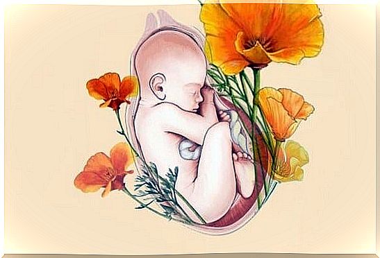 a baby in a flower